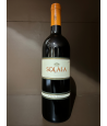 Solaia 2008